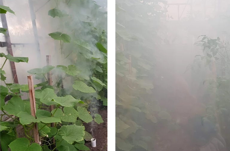 Smoke bomb with garlic scent "Smog Garlic" Работа чесночной дымовой завесы